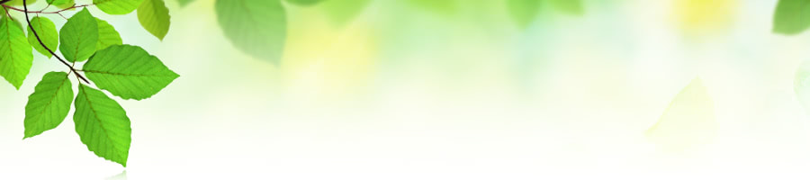 ����A�J�f�~�[